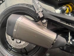 2022 Benelli LEONCINO 800 Brown