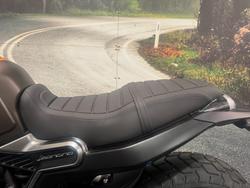 2022 Benelli LEONCINO 800 Brown