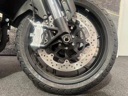 2022 Benelli LEONCINO 800 Brown