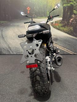 2022 Benelli LEONCINO 800 Brown