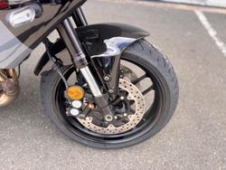 2024 Yamaha XSR900 GP