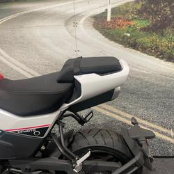 2024 CFMOTO 2024 Cf Moto 125CC PAPIO XO RACER