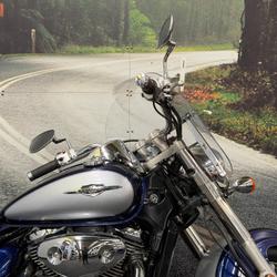 2008 Suzuki VL800 (BOULEVARD C50) Blue