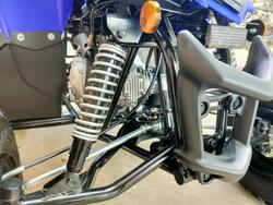 2025 YAMAHA RAPTOR 110 (YFM110R) ATV SPORT