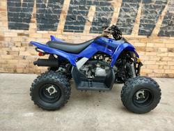 Yamaha Raptor 110 (YFM110R)