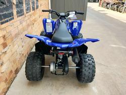 2025 YAMAHA RAPTOR 110 (YFM110R) ATV SPORT BLUE