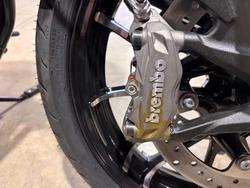 2023 Indian SPORT CHIEF GREY