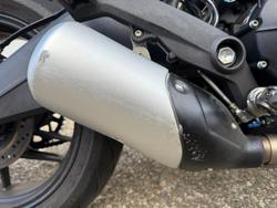 2021 Ducati MONSTER 659 (WHITE) WHITE