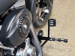 2010 Harley-davidson FLSTF FAT BOY Black