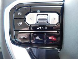 2025 LDV Terron 9 Evolve