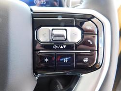 2025 LDV Terron 9 Evolve