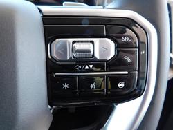 2025 LDV Terron 9 Evolve