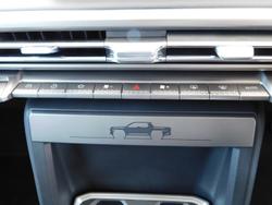 2025 LDV Terron 9 Evolve