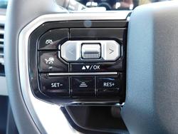 2025 LDV Terron 9 Evolve