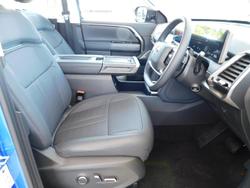 2025 LDV Terron 9 Evolve