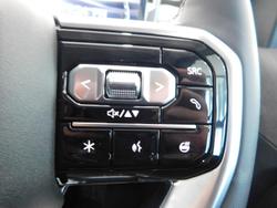 2025 LDV Terron 9 Evolve