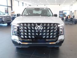 2025 LDV Terron 9 Evolve