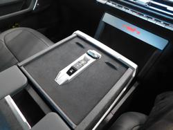 2025 LDV Terron 9 Evolve