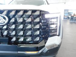 2025 LDV Terron 9 Evolve