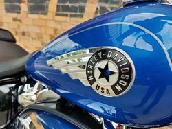 2025 HARLEY-DAVIDSON FAT BOY 117 (FLFB) ROAD BLUE BURST