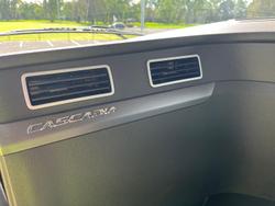 2024 Freightliner Cascadia 116 White