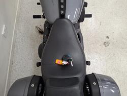 2021 Harley-davidson FLSB SPORT GLIDE grey