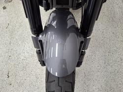 2021 Harley-davidson FLSB SPORT GLIDE grey