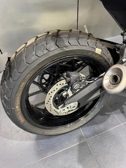 2024 Ducati Scrambler ICON Scrambler Red