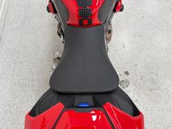 2022 BMW Motorrad S 1000 R Red