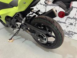 2025 Kawasaki Ninja 500 (EX500G) Ninja Green