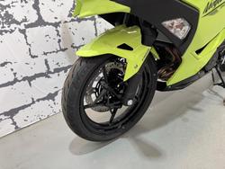 2025 Kawasaki Ninja 500 (EX500G) Ninja Green