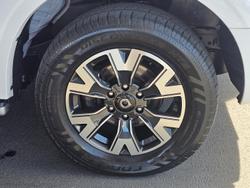 2020 GWM Ute Cannon-X