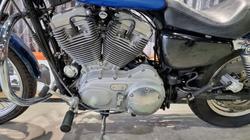 2004 Harley-davidson XL883C SPORTSTER CUSTOM Blue