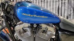 2004 Harley-davidson XL883C SPORTSTER CUSTOM Blue