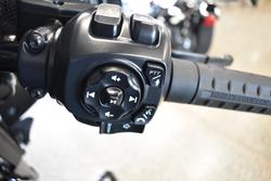 2025 Harley-davidson FLHX STREET GLIDE (117) Iron Horse Metallic