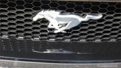 2018 Ford Mustang GT FN MY18 Magnetic