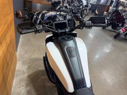 2021 Harley-davidson RA1250S PAN AMERICA SPECIAL White