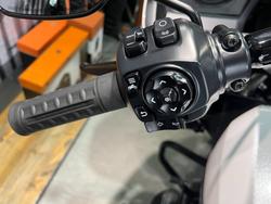 2025 Harley-davidson FLTRX ROAD GLIDE (117) White Onyx Pearl