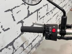 2024 Kawasaki KLX230 S KLX Green