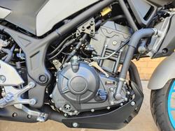 2025 YAMAHA MT-03 ABS 321 (MT03LA) ROAD ICE STORM