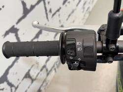 2024 Kawasaki KLX230SM KLX Green