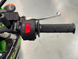 2024 Kawasaki KLX230SM KLX Green