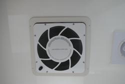 2019 Royal Flair Raptor Family