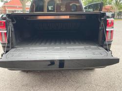 2024 GWM Cannon Alpha Lux