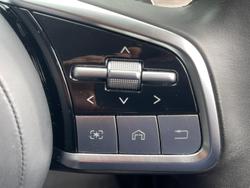 2024 GWM Cannon Alpha Lux