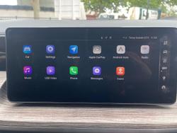 2024 GWM Cannon Alpha Lux