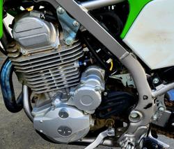 2020 Kawasaki KLX230 KLX Green