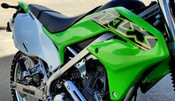 2020 Kawasaki KLX230 KLX Green