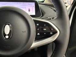 2025 GWM Ora Lux ES11 Hamilton White / Black Roof