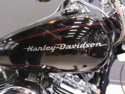 2002 Harley-Davidson Softail Deuce 1450 EFI (FXSTDI) Softail Black